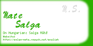 mate salga business card