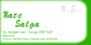 mate salga business card